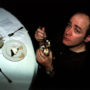 31 Flavors of Todd - What's cuter than Todd Barry eating ice cream? Nothing on God's green earth. Enjoy this photo.